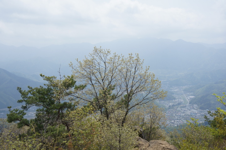 高川山