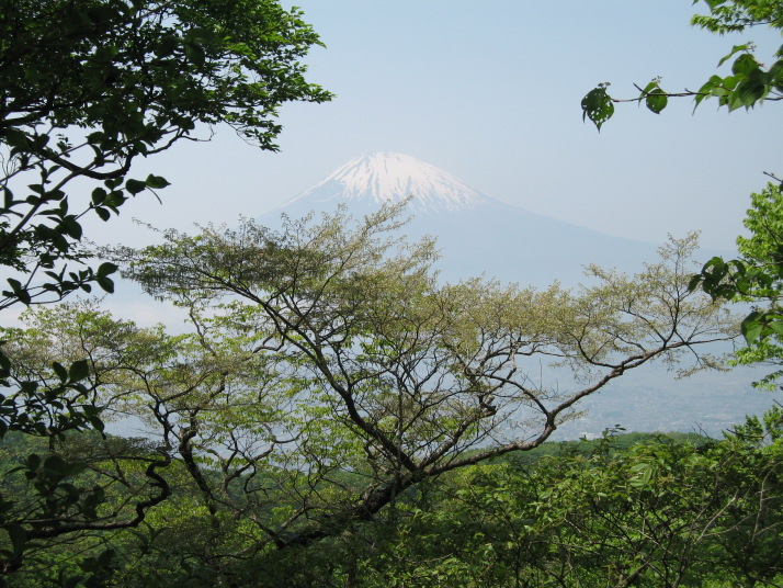 金時山