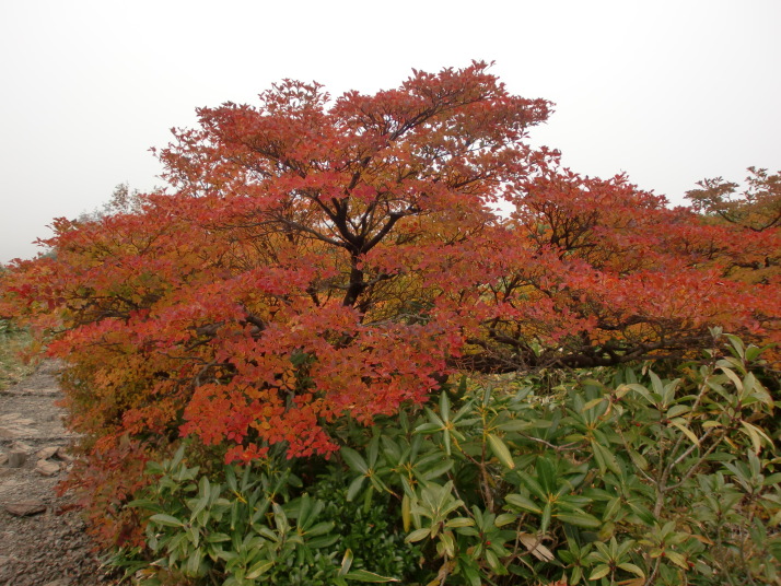 三本槍