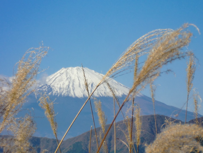 明神ケ岳