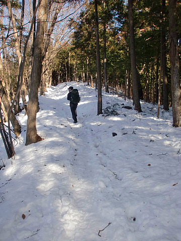 陣馬山