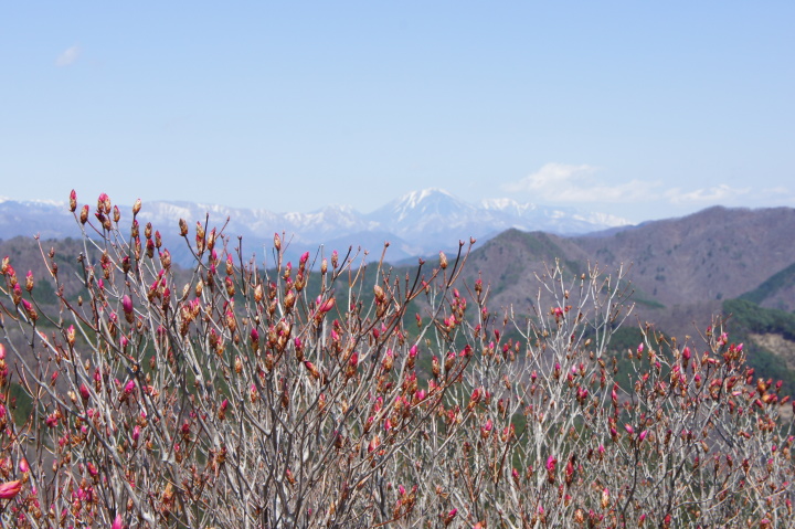 鳴神山