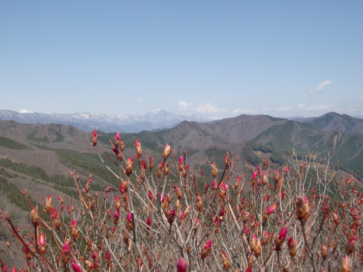 鳴神山