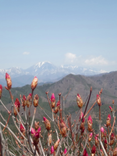 鳴神山