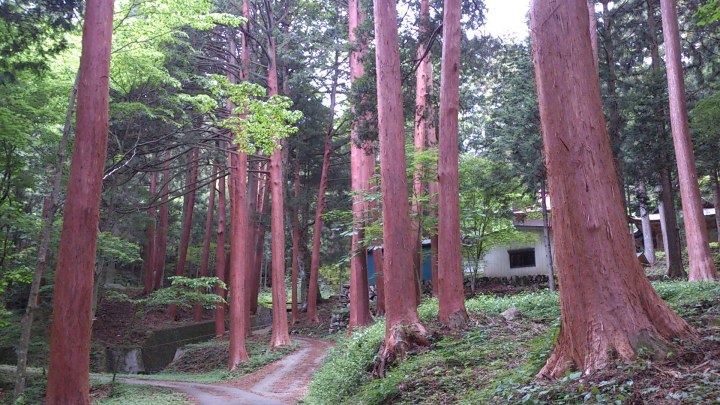 釈迦ケ岳