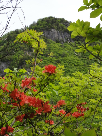 釈迦ケ岳