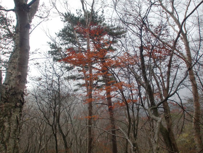 長次郎岳