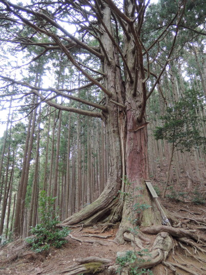 高水三山