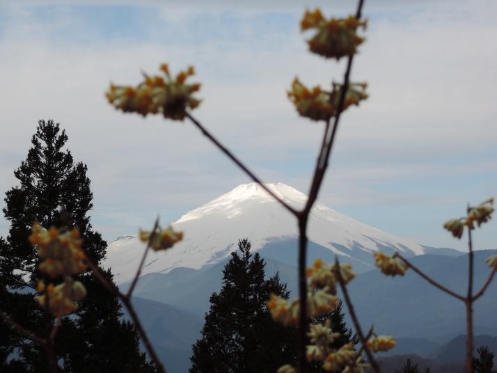 ミツバ岳