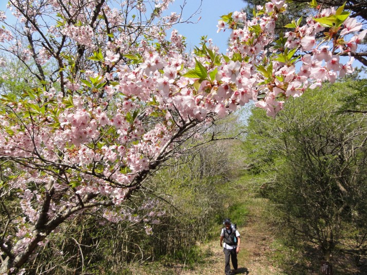 矢倉山