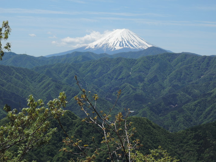 甲州高尾山