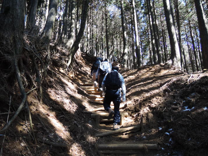 箱根大山