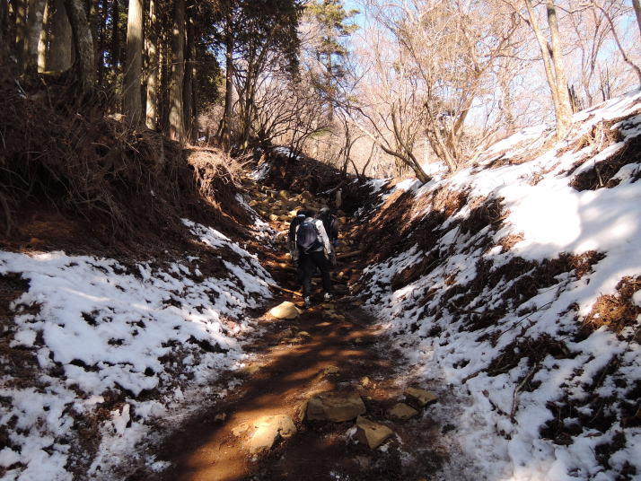 箱根大山