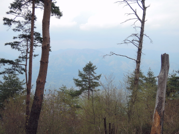 倉岳山