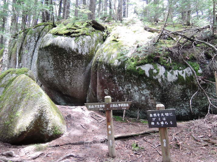 甲武信岳