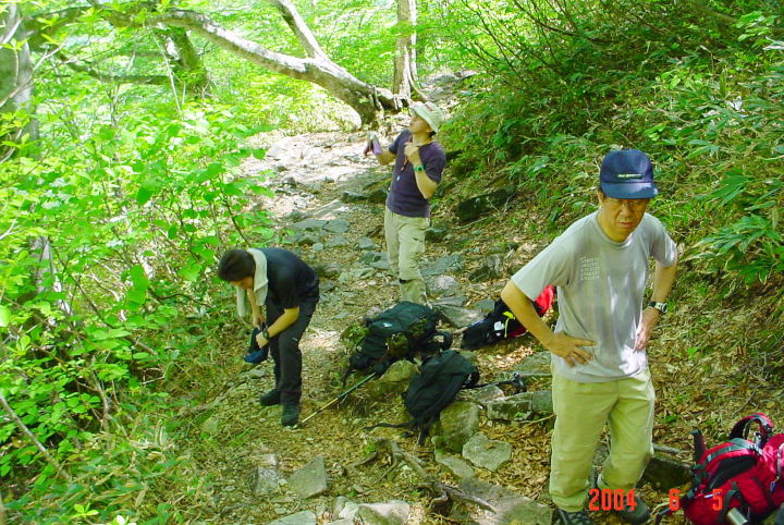 谷川岳