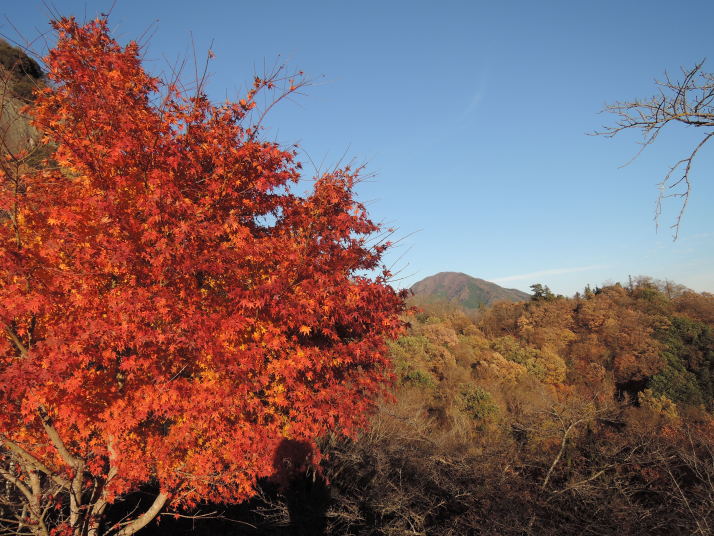 岩殿山