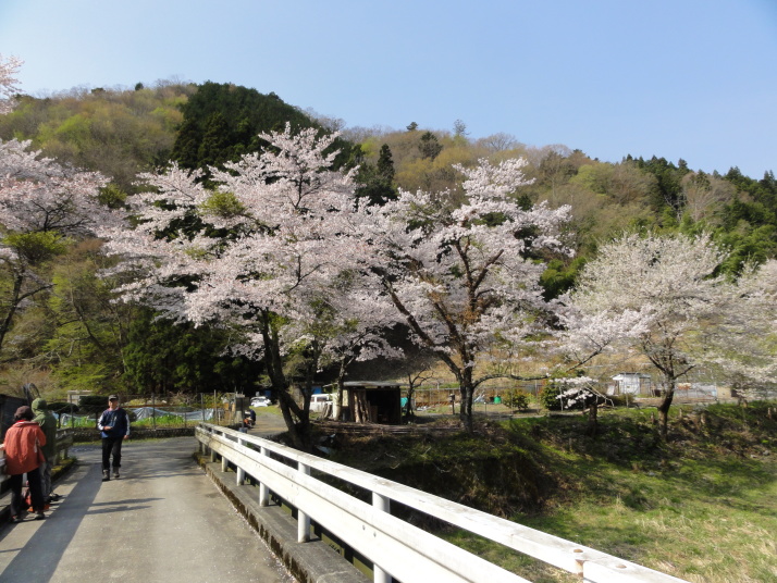 坪山