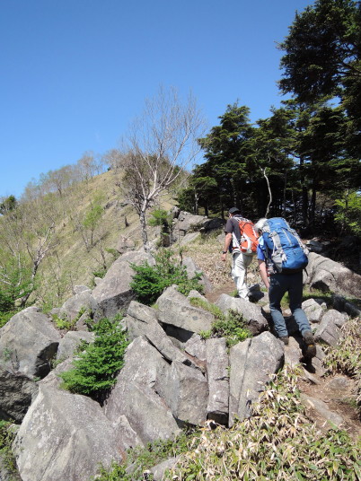 社山