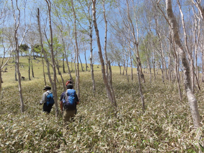 社山