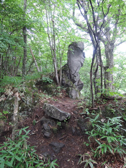 網笠山