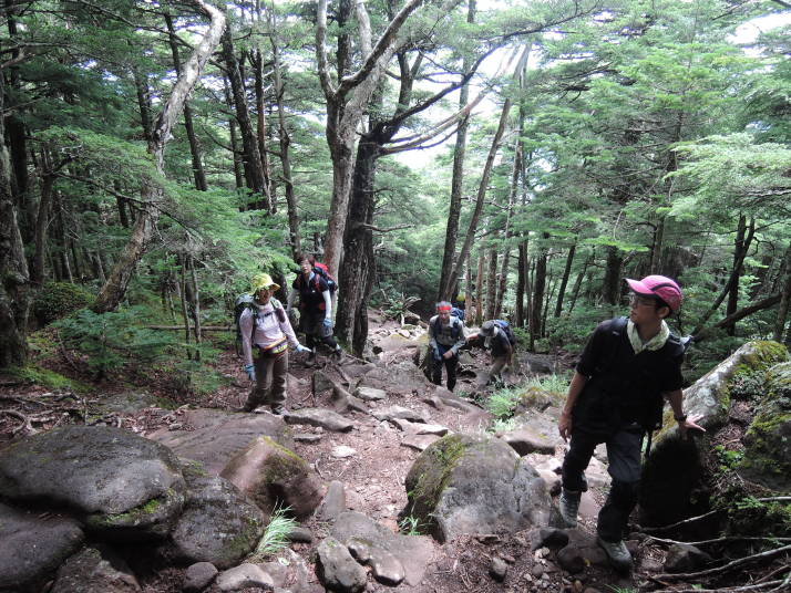 網笠山