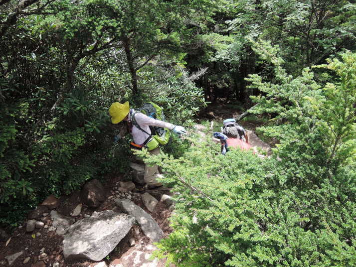 網笠山