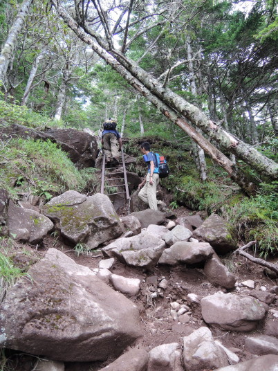 網笠山