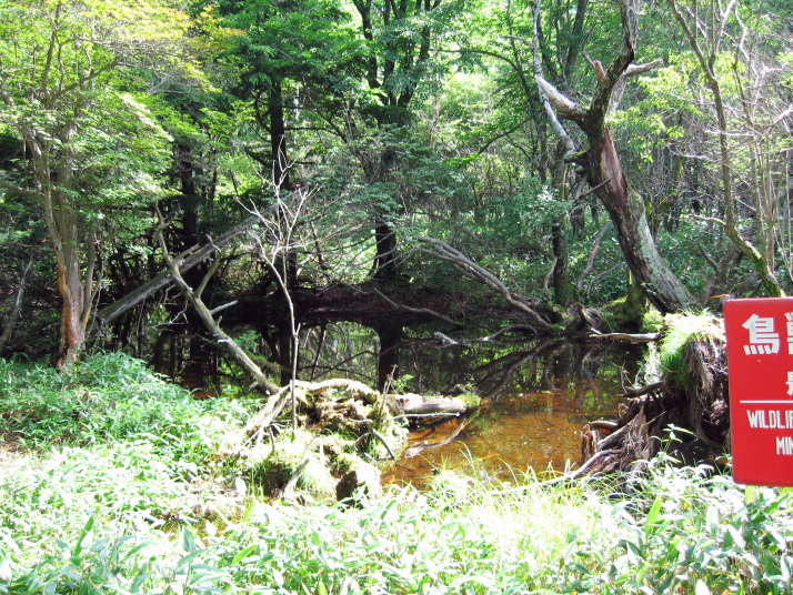 釈迦ケ岳