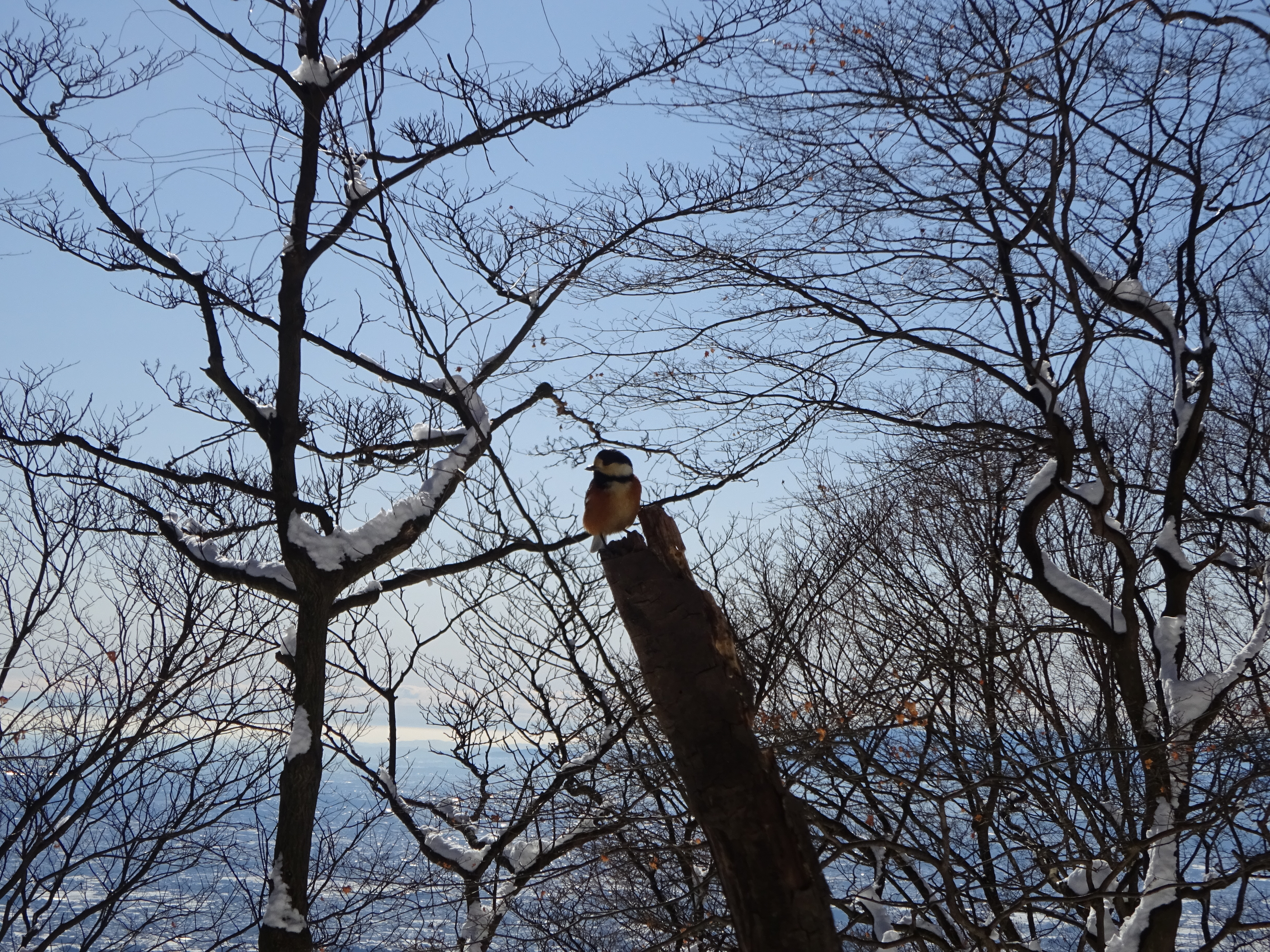 水沢山