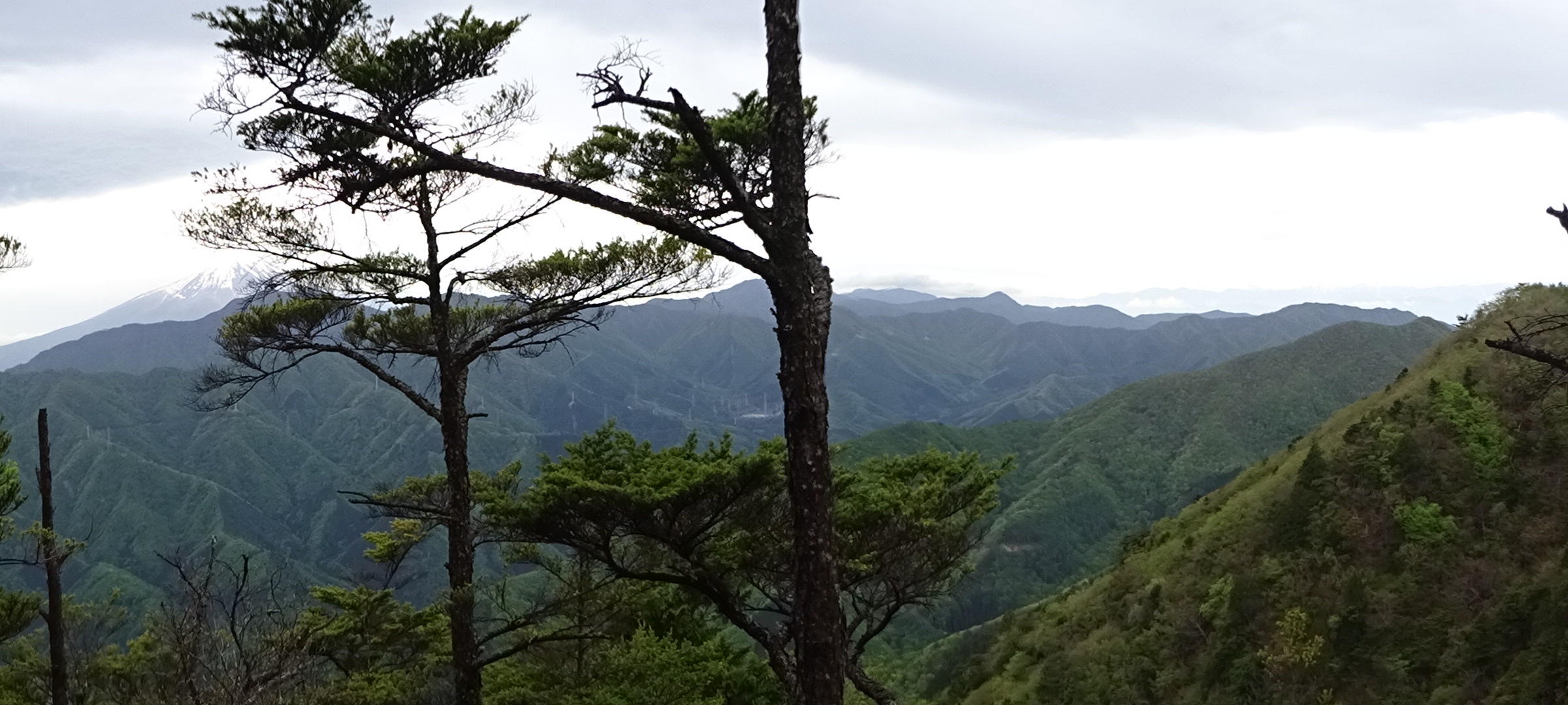 滝子山