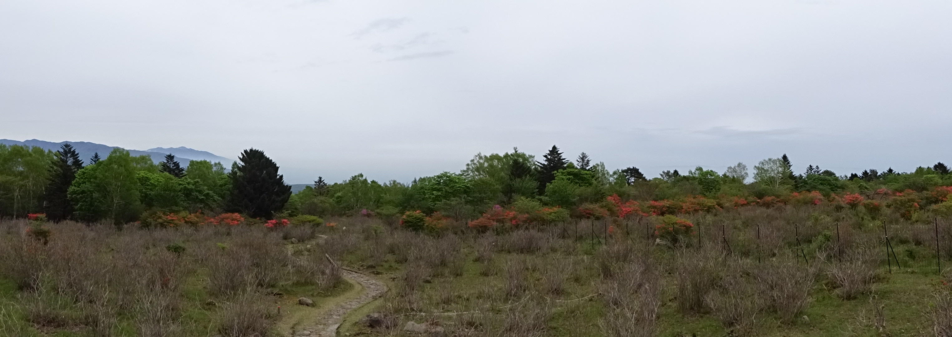 釈迦ケ岳