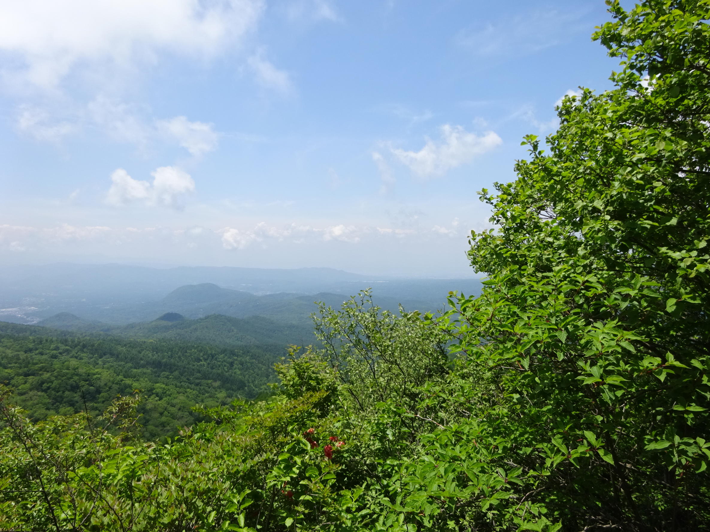 鼻曲山