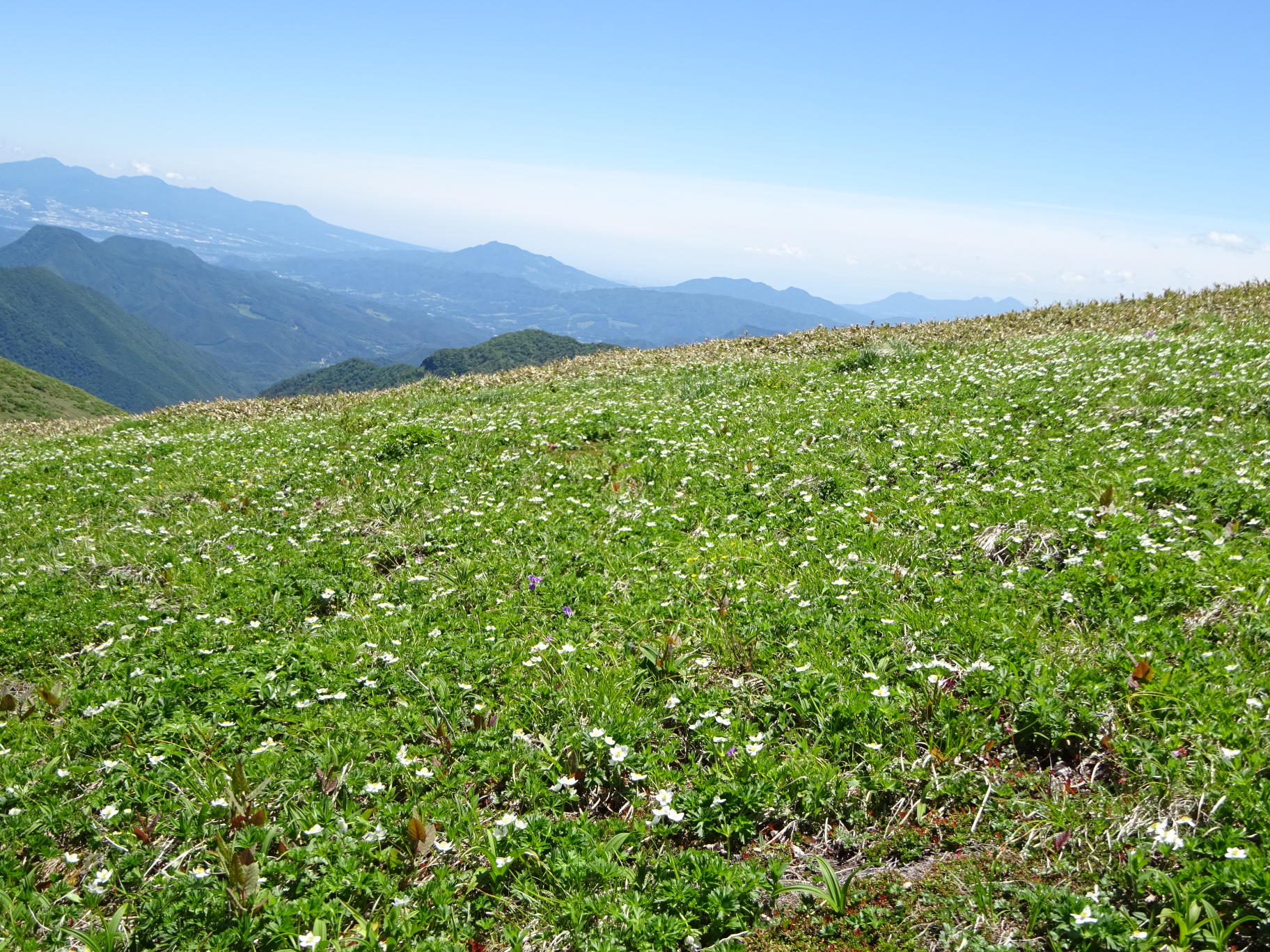 仙ノ倉山