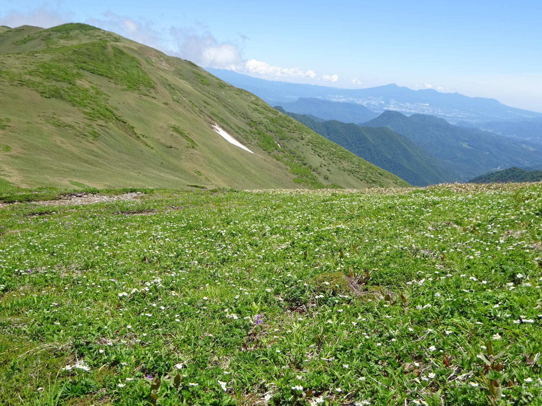 仙ノ倉山