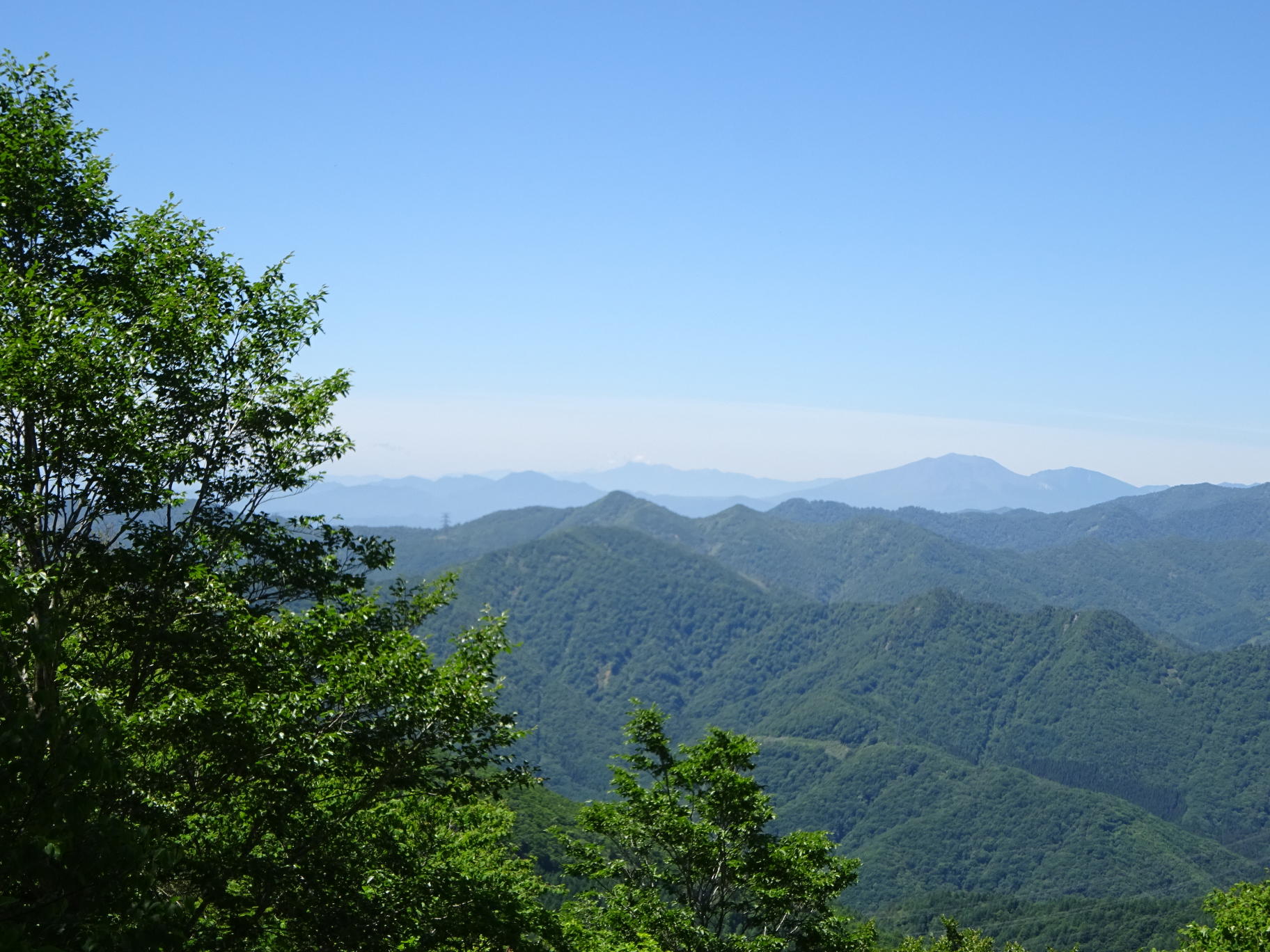 仙ノ倉山