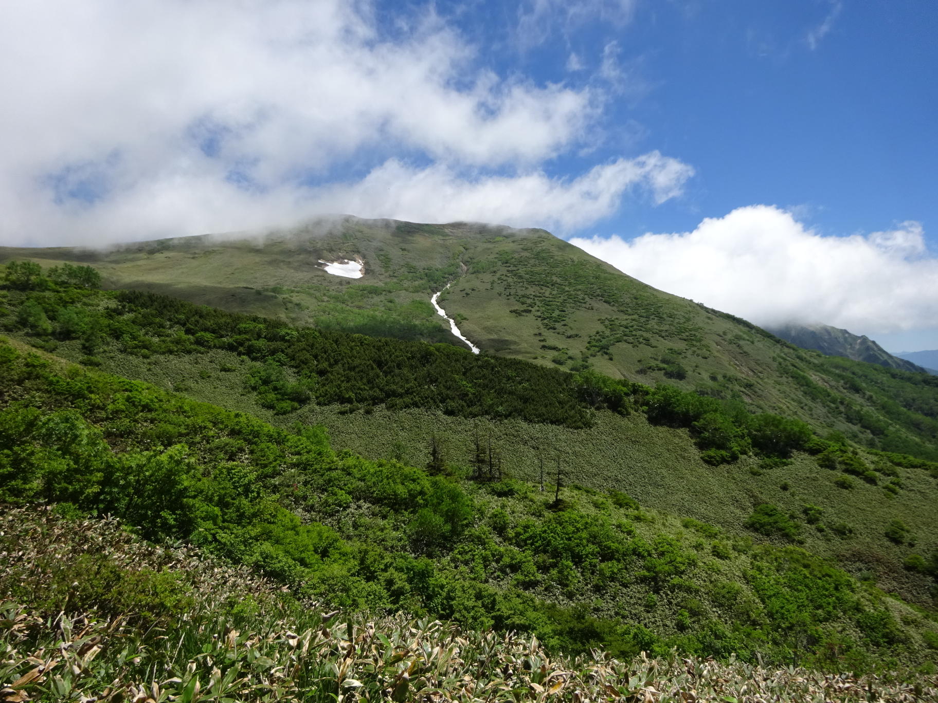 仙ノ倉山