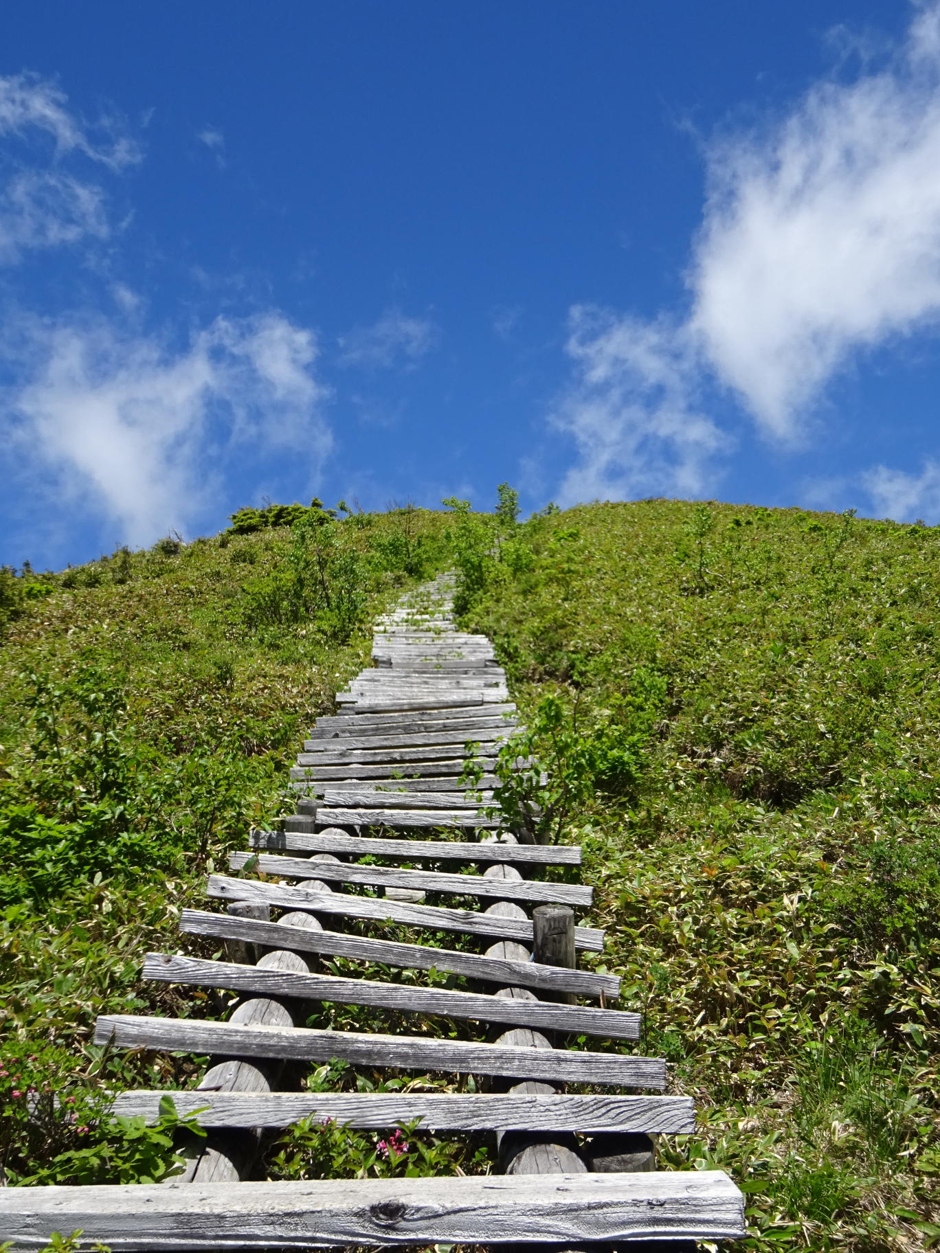 仙ノ倉山