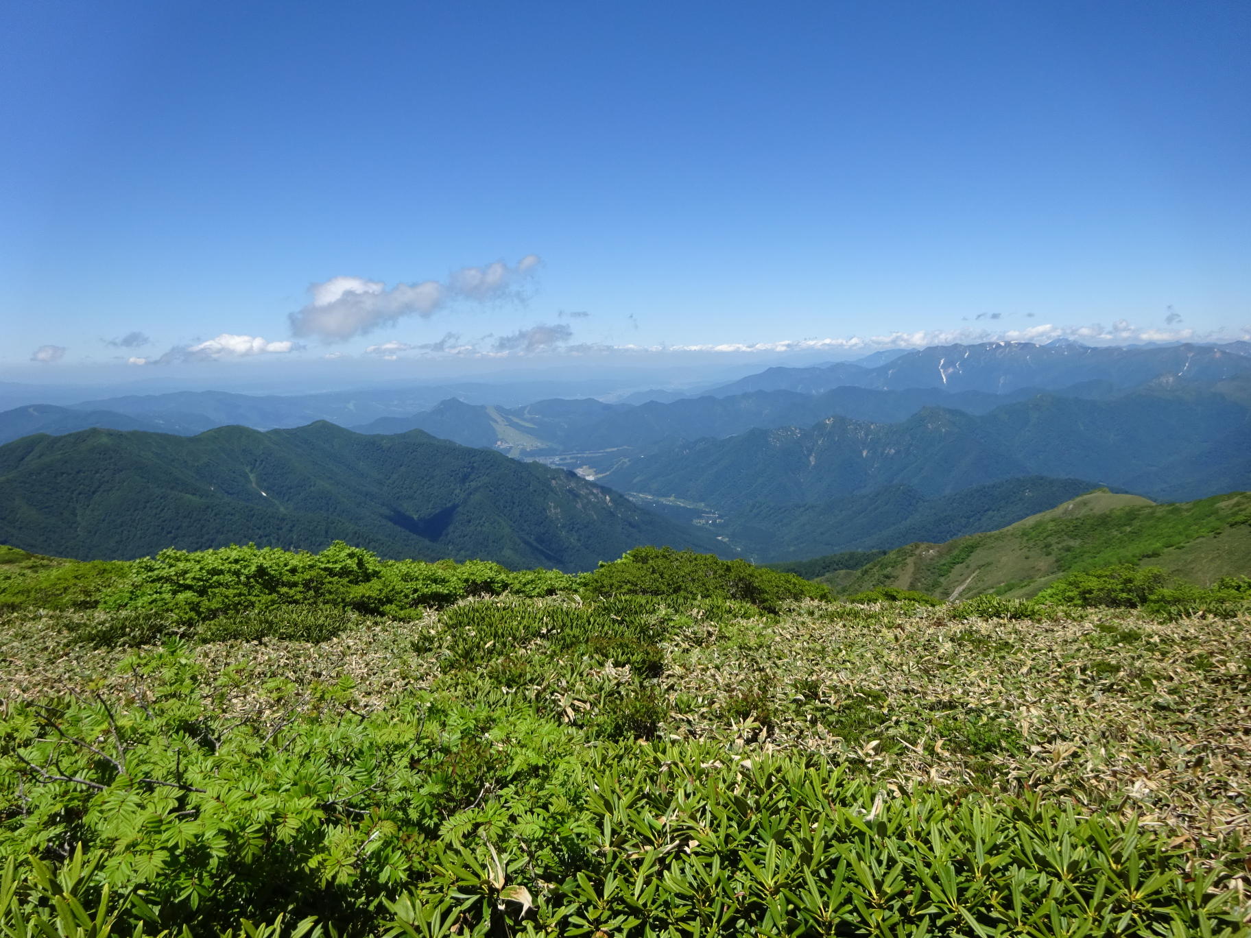 仙ノ倉山