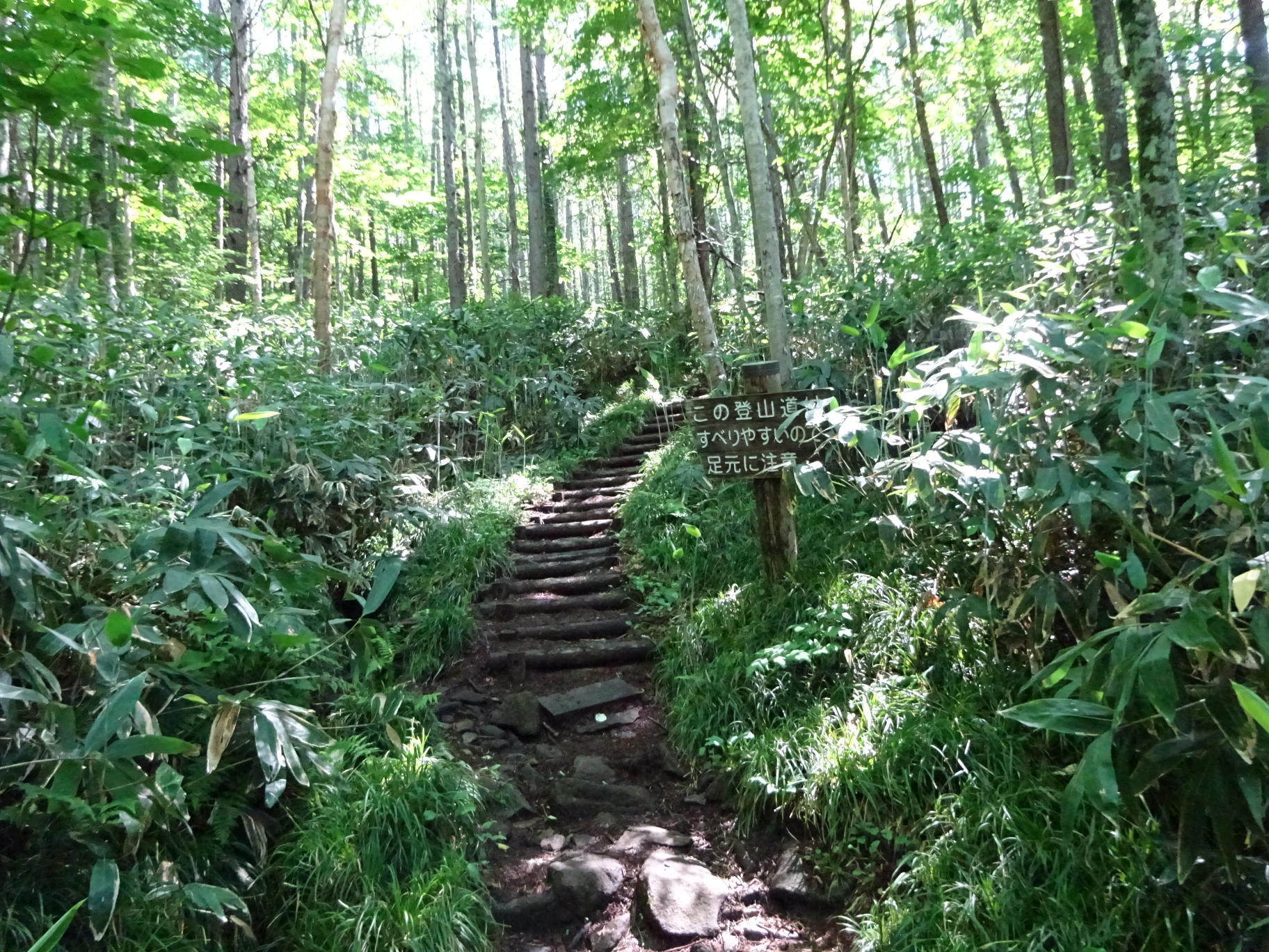 仙ノ倉山