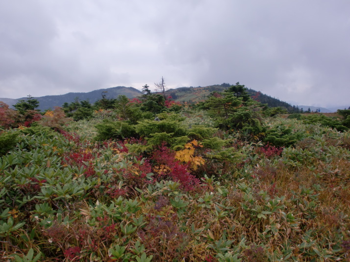 会津駒ケ岳