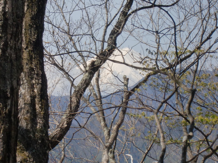 滝子山