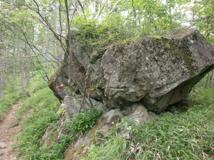 網笠山