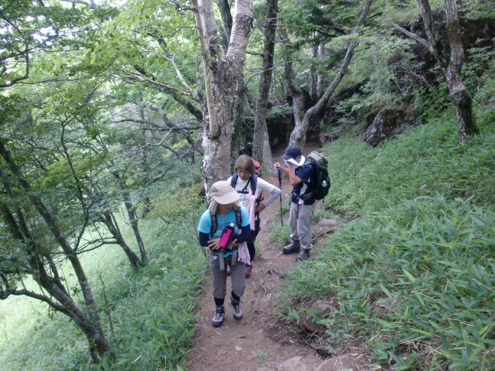 網笠山