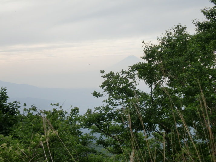 網笠山