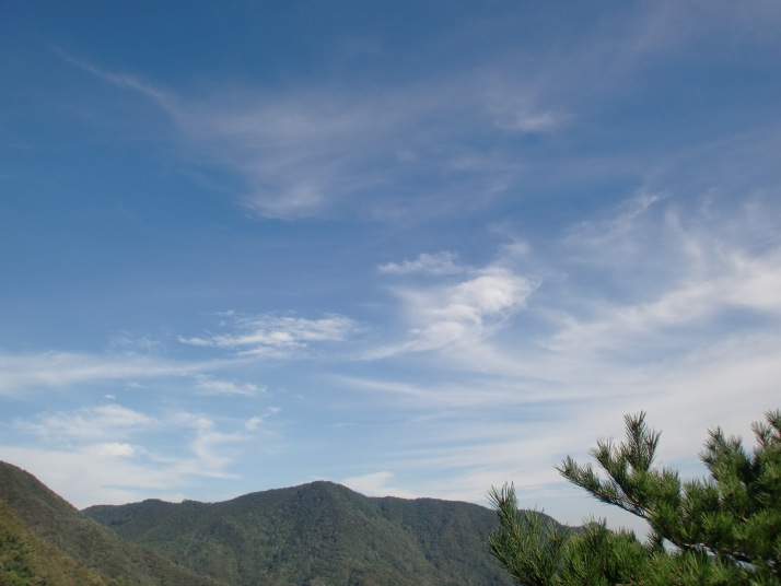 小野子山