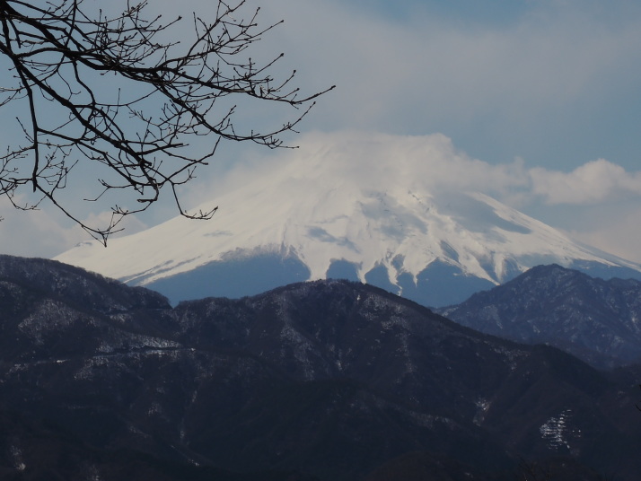 倉岳山