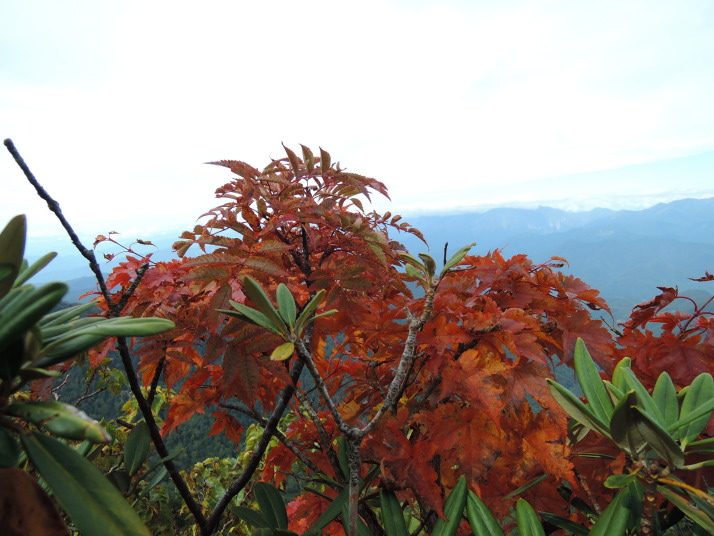 上州武尊山