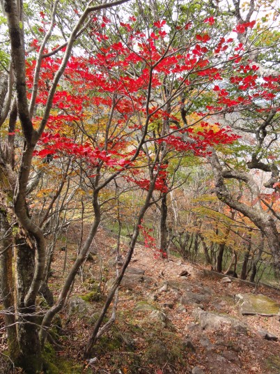 赤城山