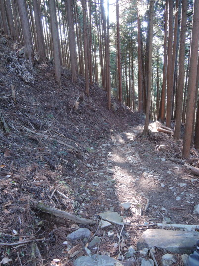 川苔山